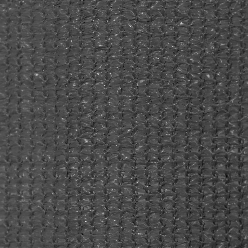 Outdoor Roller Blind 350x140 cm Anthracite