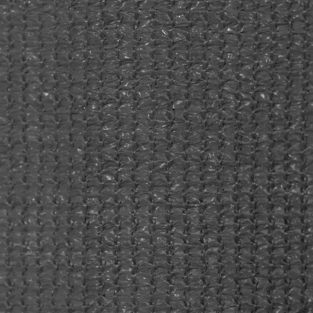 Outdoor Roller Blind 400x230 cm Anthracite
