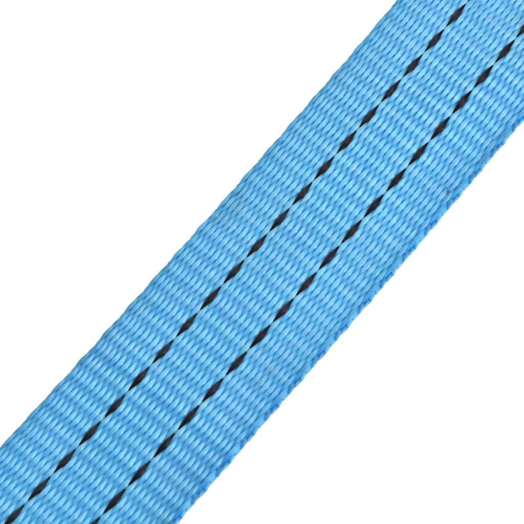 142655 vidaXL Ratchet Tie Down Straps 10 pcs 2 Tonnes 6mx38mm Blue