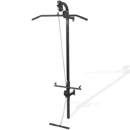 Wall-mounted Home Gym with 2 Pulleys Wall-mounted Home Gym with 2 Pulleys