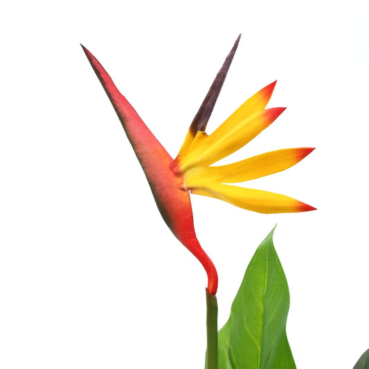 Artificial Strelitzia Reginae Plant Bird of Paradise 66 cm Artificial Strelitzia Reginae Plant Bird of Paradise 66 cm