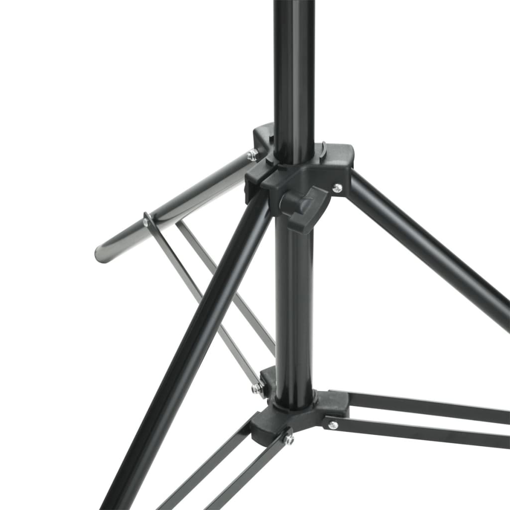 160070 vidaXL Backdrop Support System 500 x 300 cm Black
