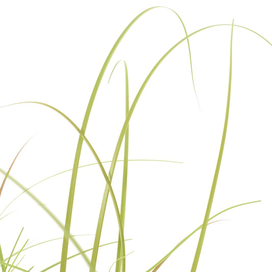 Artificial Plant | Green, Brown, Black | Plastic | Medium Artificial Plant | Green, Brown, Black | Plastic | Medium