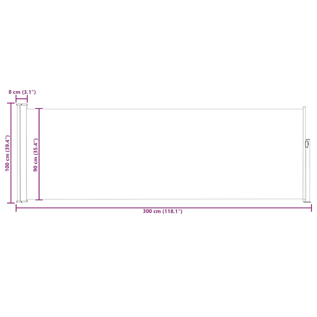 Patio Retractable Side Awning 100x300 cm Black