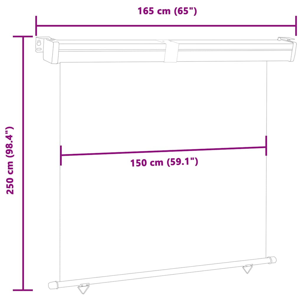 48434 vidaXL Balcony Side Awning 165x250 cm Grey