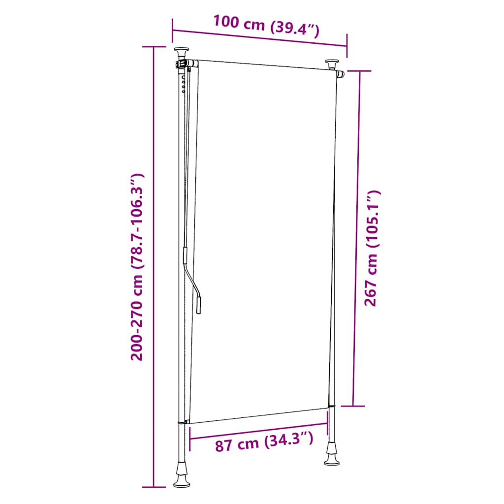 Outdoor Roller Blind 100x270 cm Anthracite