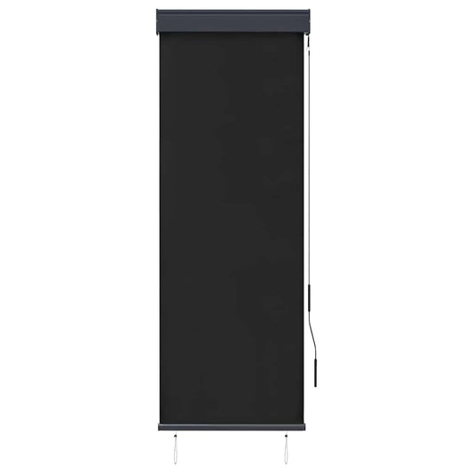 145946 vidaXL Outdoor Roller Blind 60x250 cm Anthracite 145946 vidaXL Outdoor Roller Blind 60x250 cm Anthracite