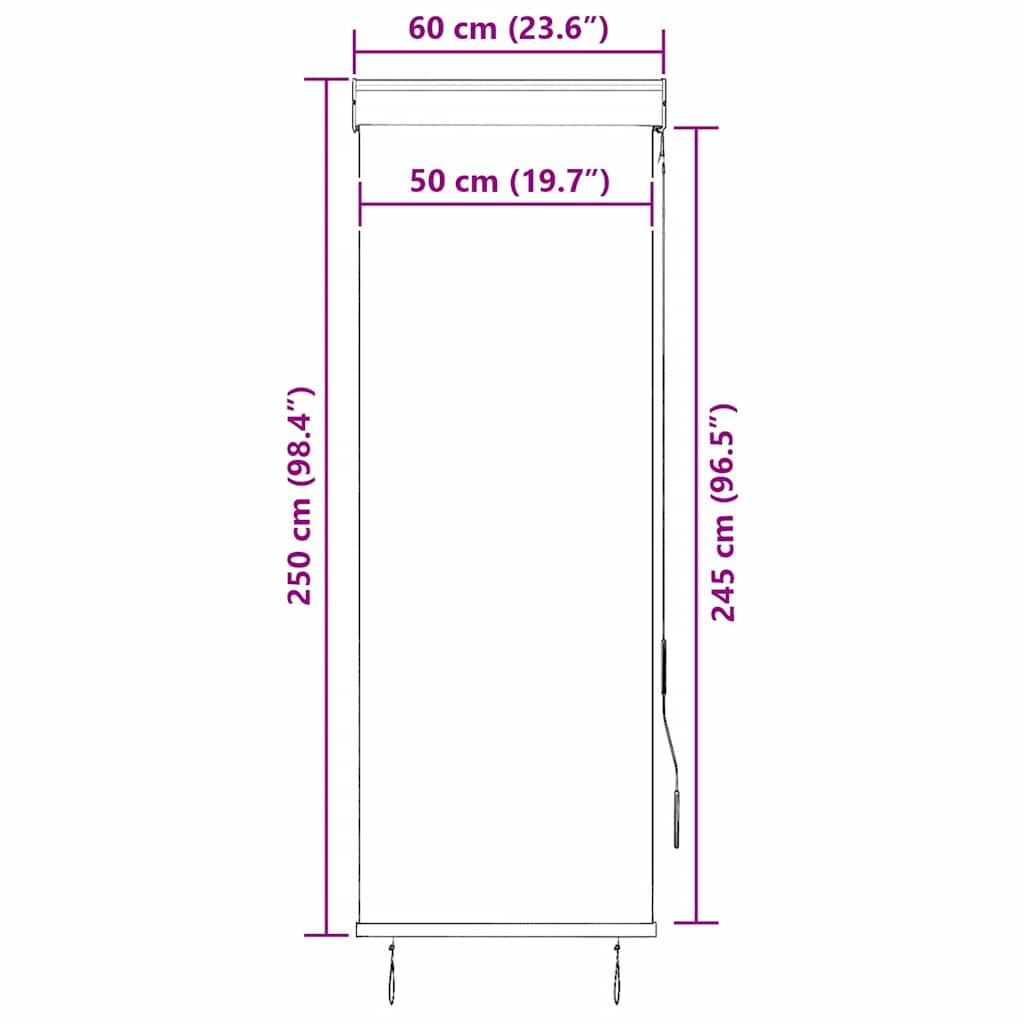 Outdoor Roller Blind 60x250 cm Anthracite