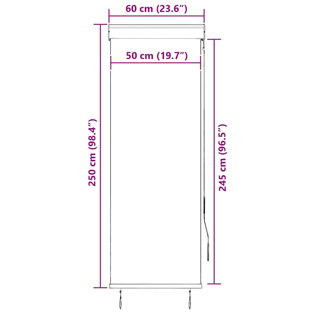 145947 vidaXL Outdoor Roller Blind 60x250 cm Cream