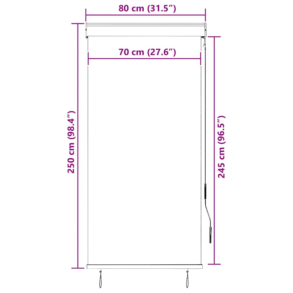 145953 vidaXL Outdoor Roller Blind 80x250 cm Cream