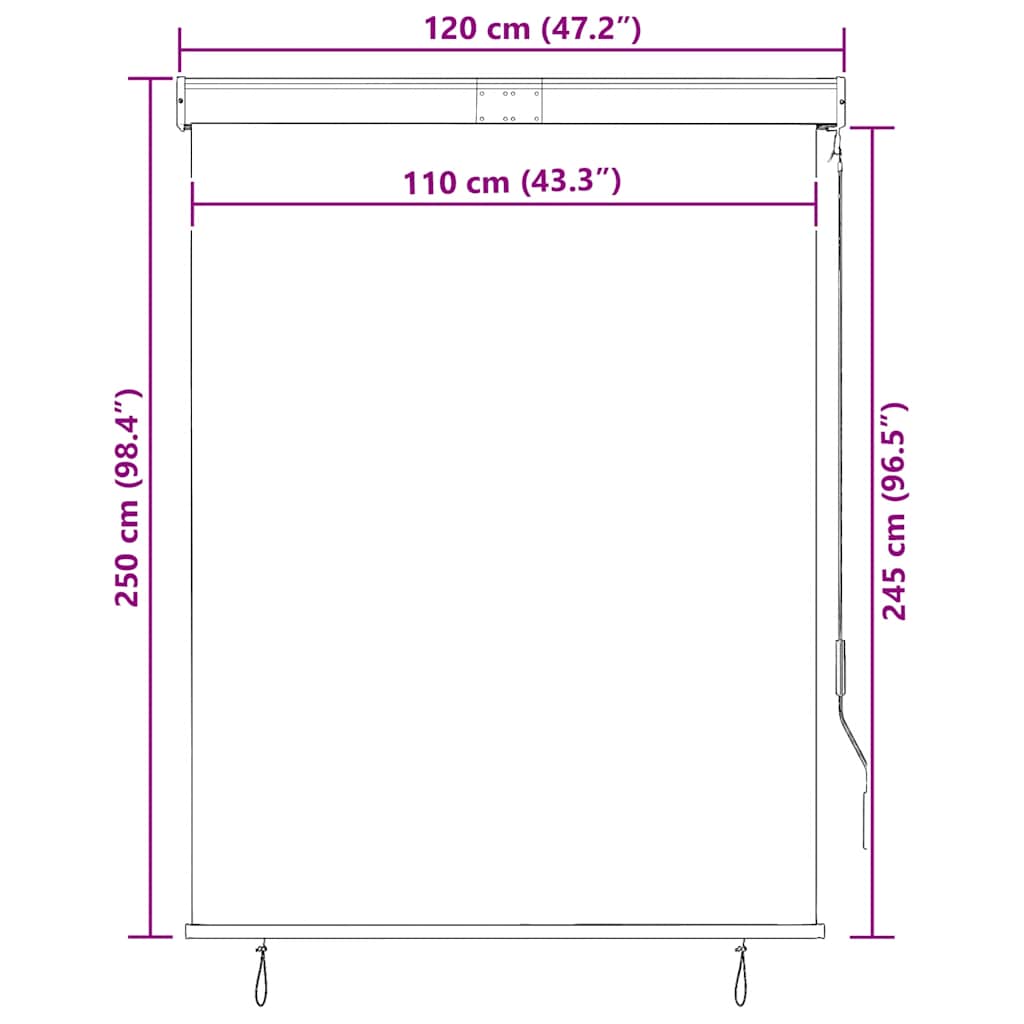 Outdoor Roller Blind 120x250 cm Cream