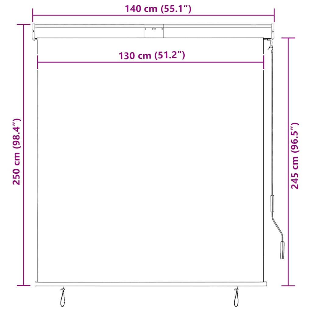 145971 vidaXL Outdoor Roller Blind 140x250 cm Cream