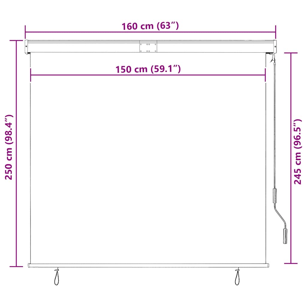 145976 vidaXL Outdoor Roller Blind 160x250 cm Anthracite