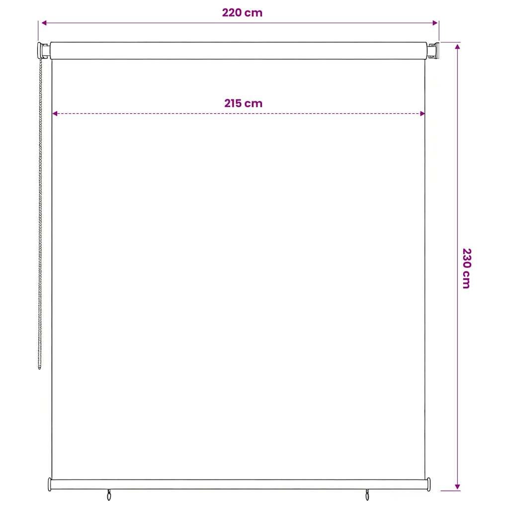 312856 vidaXL Outdoor Roller Blind 220x230 cm Blue HDPE