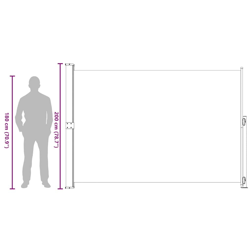 Patio Retractable Side Awning 200x300 cm Black