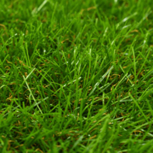 Artificial Grass 1x15 m/40 mm Green Artificial Grass 1x15 m/40 mm Green