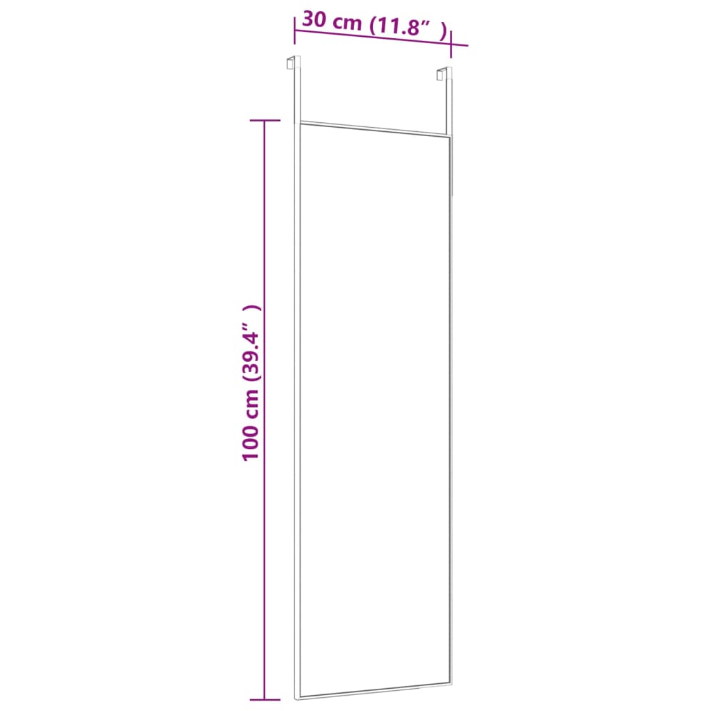 Door Mirror Black 30x100 cm Glass and Aluminium