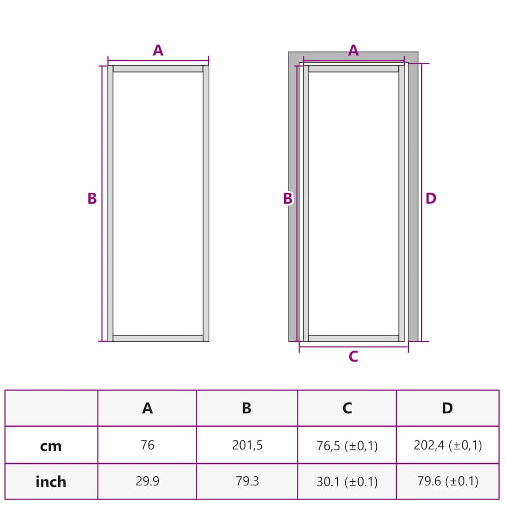 Interior Door ESG Glass and Aluminium 76x201.5 cm Black