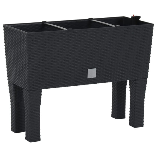 Raised Garden Bed Anthracite 60x25x46 cm PP Rattan Raised Garden Bed Anthracite 60x25x46 cm PP Rattan