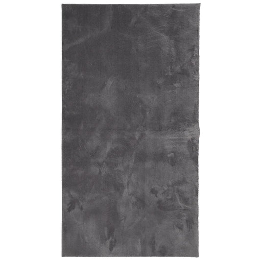 Rug HUARTE Short Pile Soft and Washable Anthracite 60x110 cm Rug HUARTE Short Pile Soft and Washable Anthracite 60x110 cm