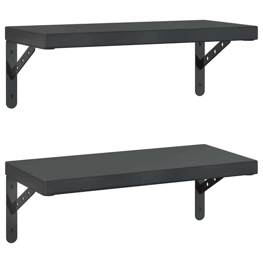 Wall Shelves 2 pcs 50x23.5 cm Black Stainless Steel Wall Shelves 2 pcs 50x23.5 cm Black Stainless Steel