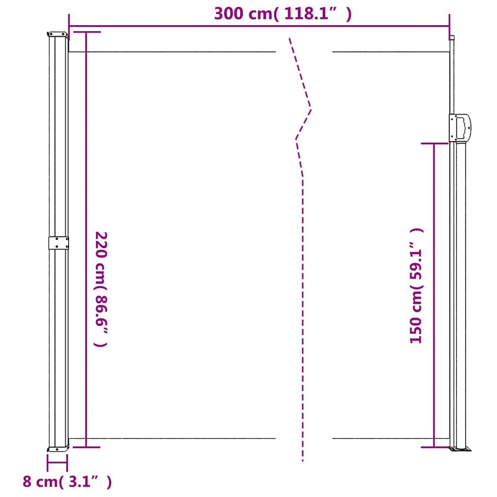 Retractable Side Awning Brown 220x300 cm
