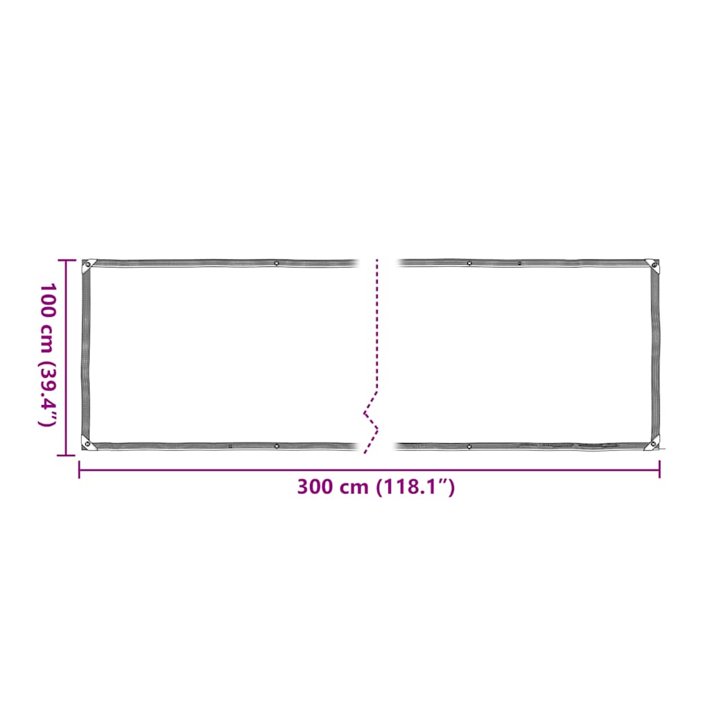 Clear Tarpaulin with Eyelets 1x3 m Polyethylene