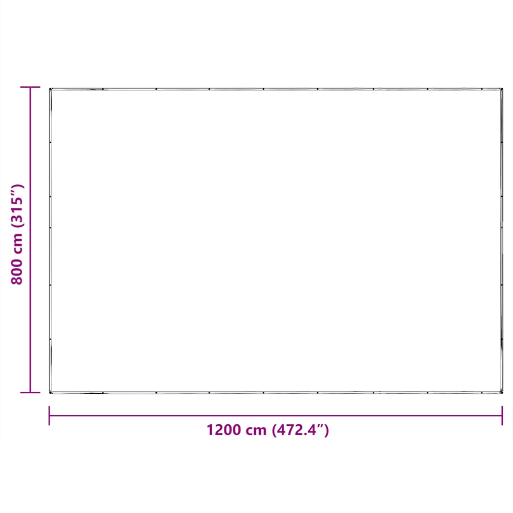 Clear Tarpaulin with Eyelets 8x12 m Polyethylene