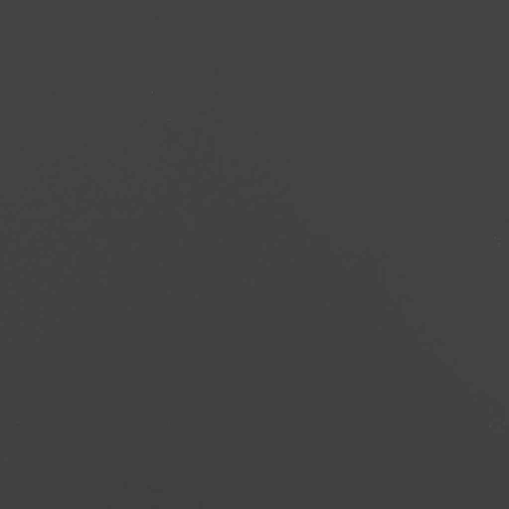 Firewood Rack Black 40x30x80 cm Cold-rolled steel