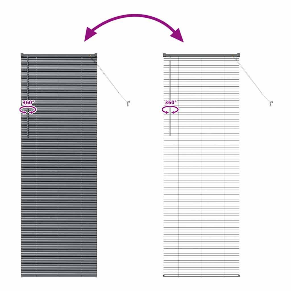 Venetian Blinds Manual Dark Grey 220 x 70 cm Aluminium