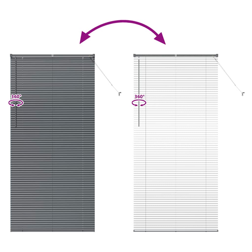 Venetian Blinds Manual Dark Grey 220 x 100 cm Aluminium
