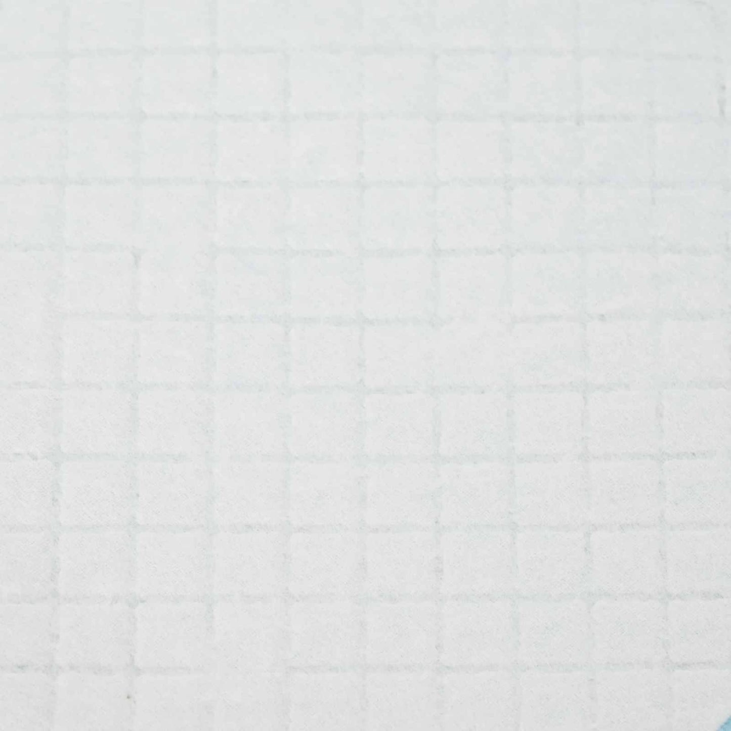 Non-woven Fabric Pet Training Pad 50 pcs Blue and White