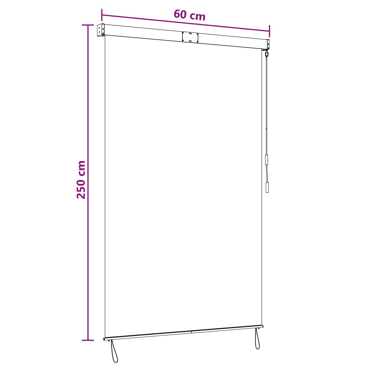 Roller Blind Black 60 x 250 cm Fabric and Aluminum