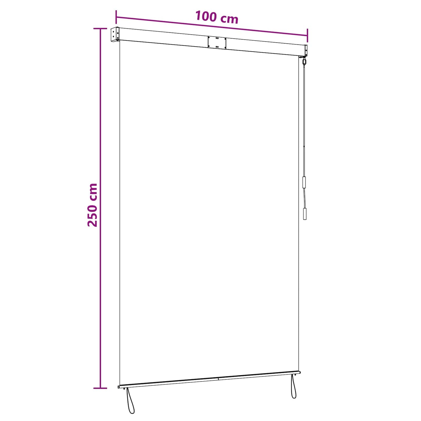 Roller Blind Black 100 x 250 cm Fabric and Aluminum
