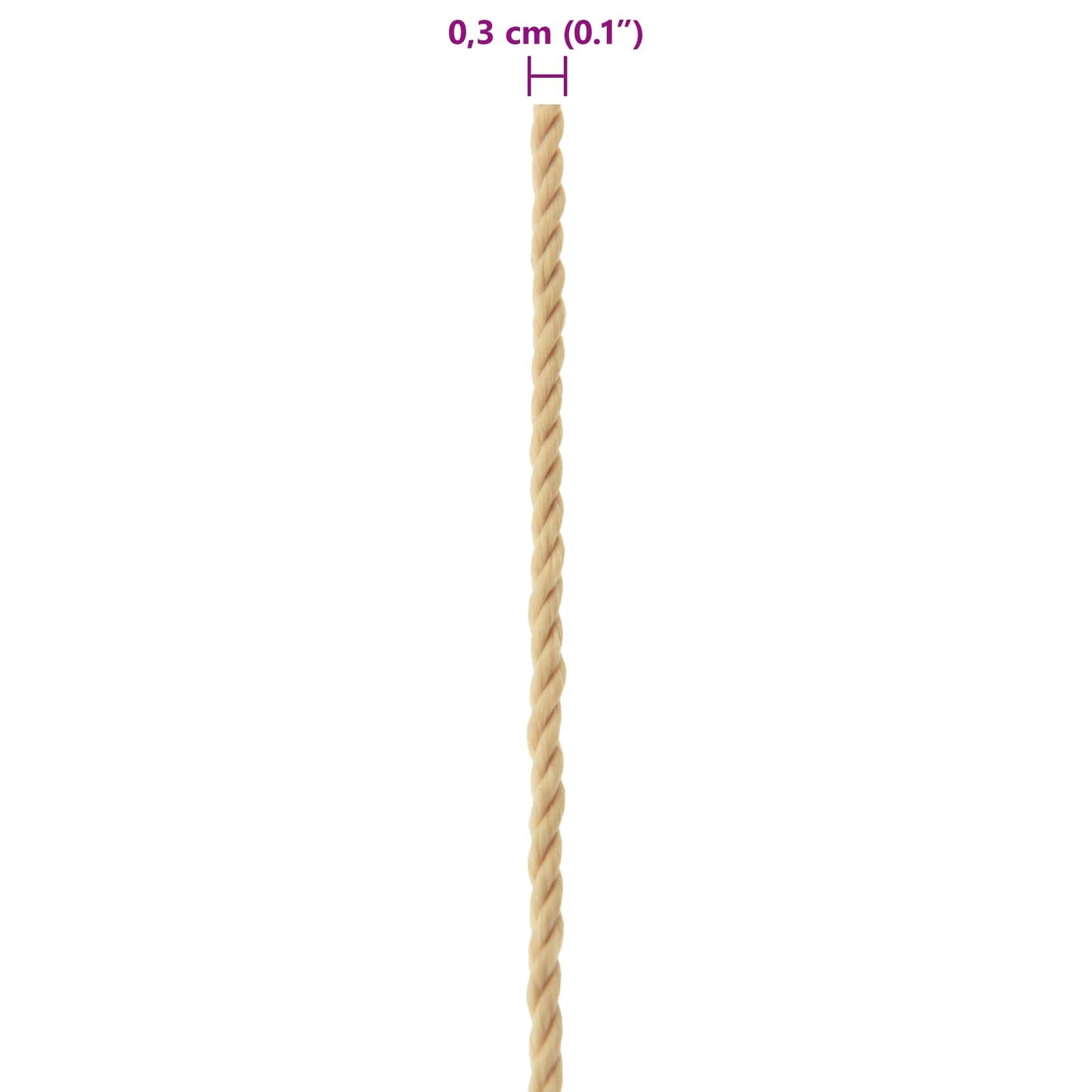 Boat Rope 25 m 0.3 Natural PP