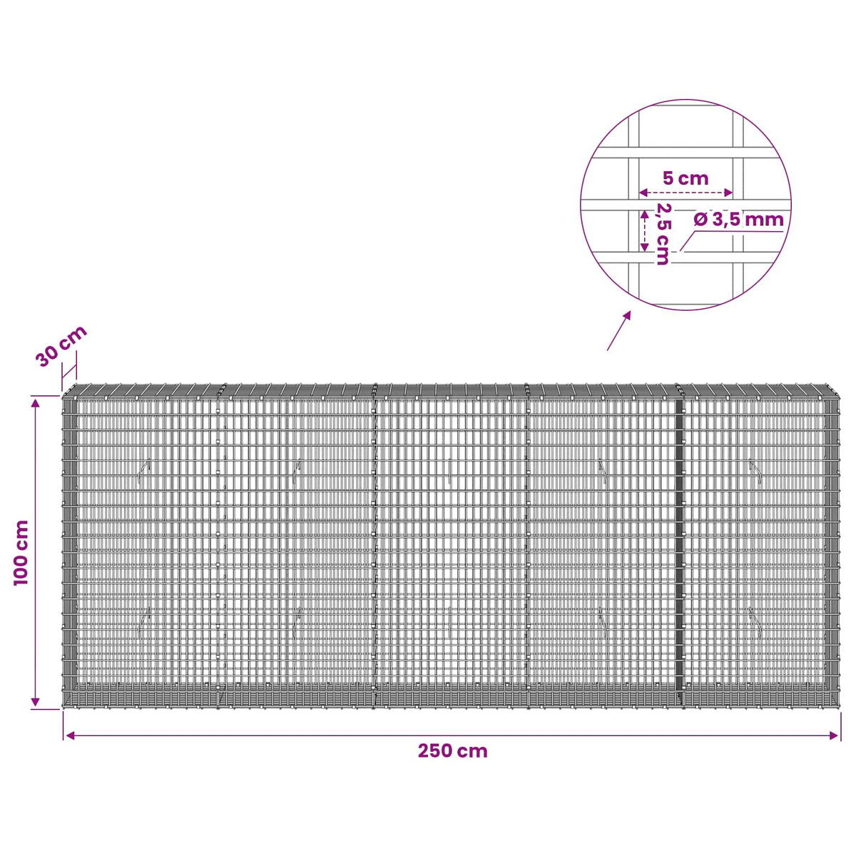 Gabion with 3.5 mm Wire and 5x2.5 cm Mesh 250x30x100 cm