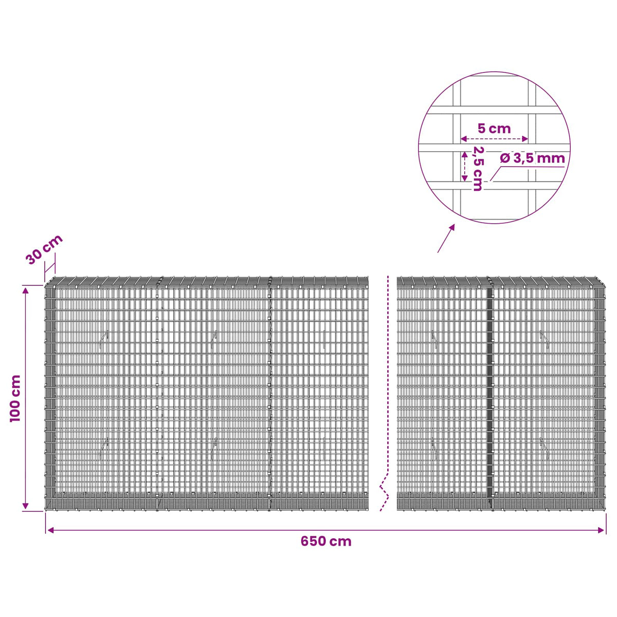 Gabion with 3.5 mm Wire and 5x2.5 cm Mesh 650x30x100 cm