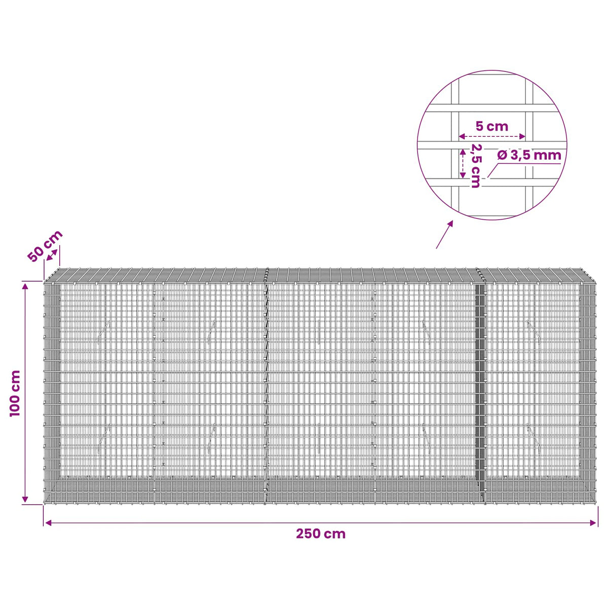 Gabion with 3.5 mm Wire and 5x2.5 cm Mesh 250x50x100 cm
