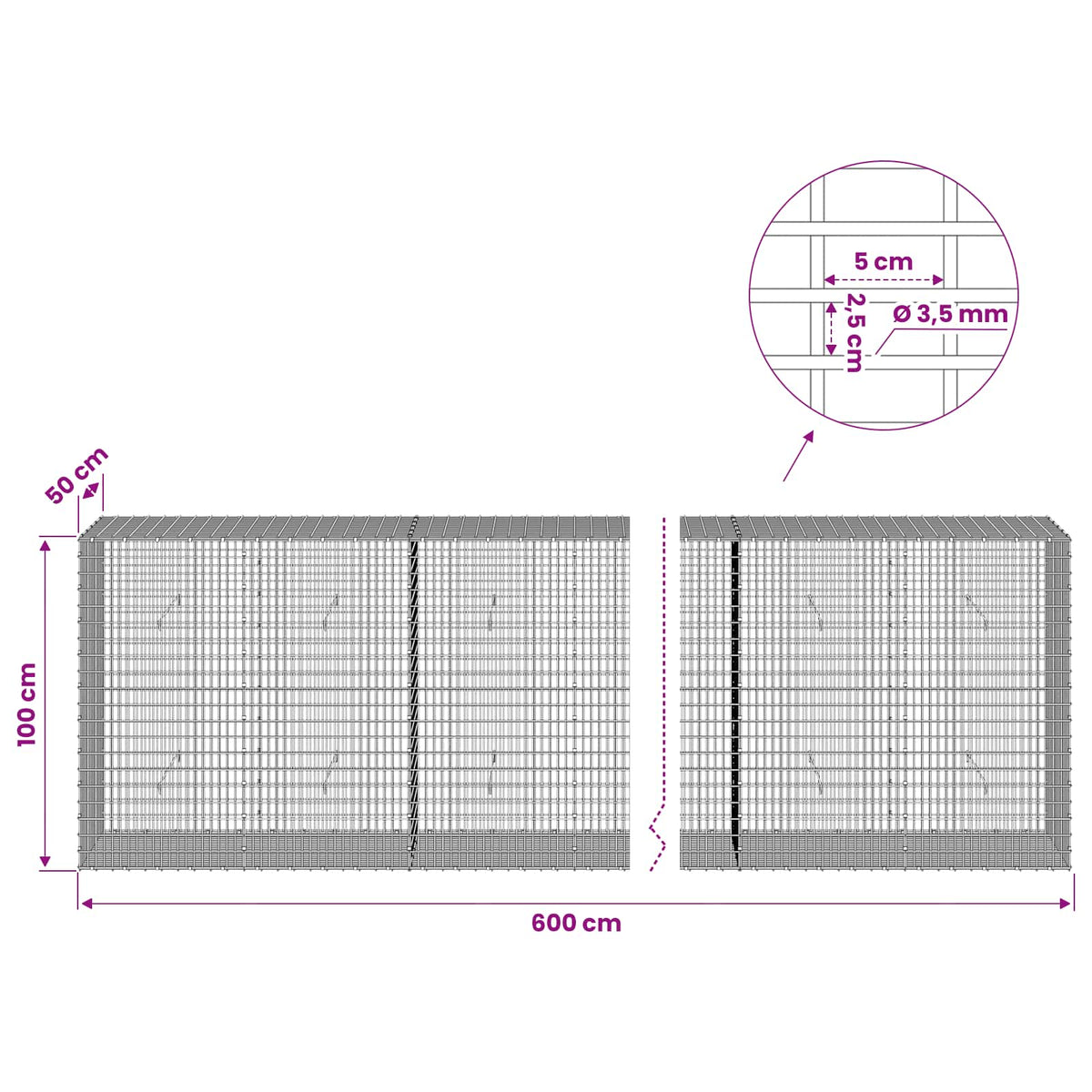 Gabion with 3.5 mm Wire and 5x2.5 cm Mesh 600x50x100 cm