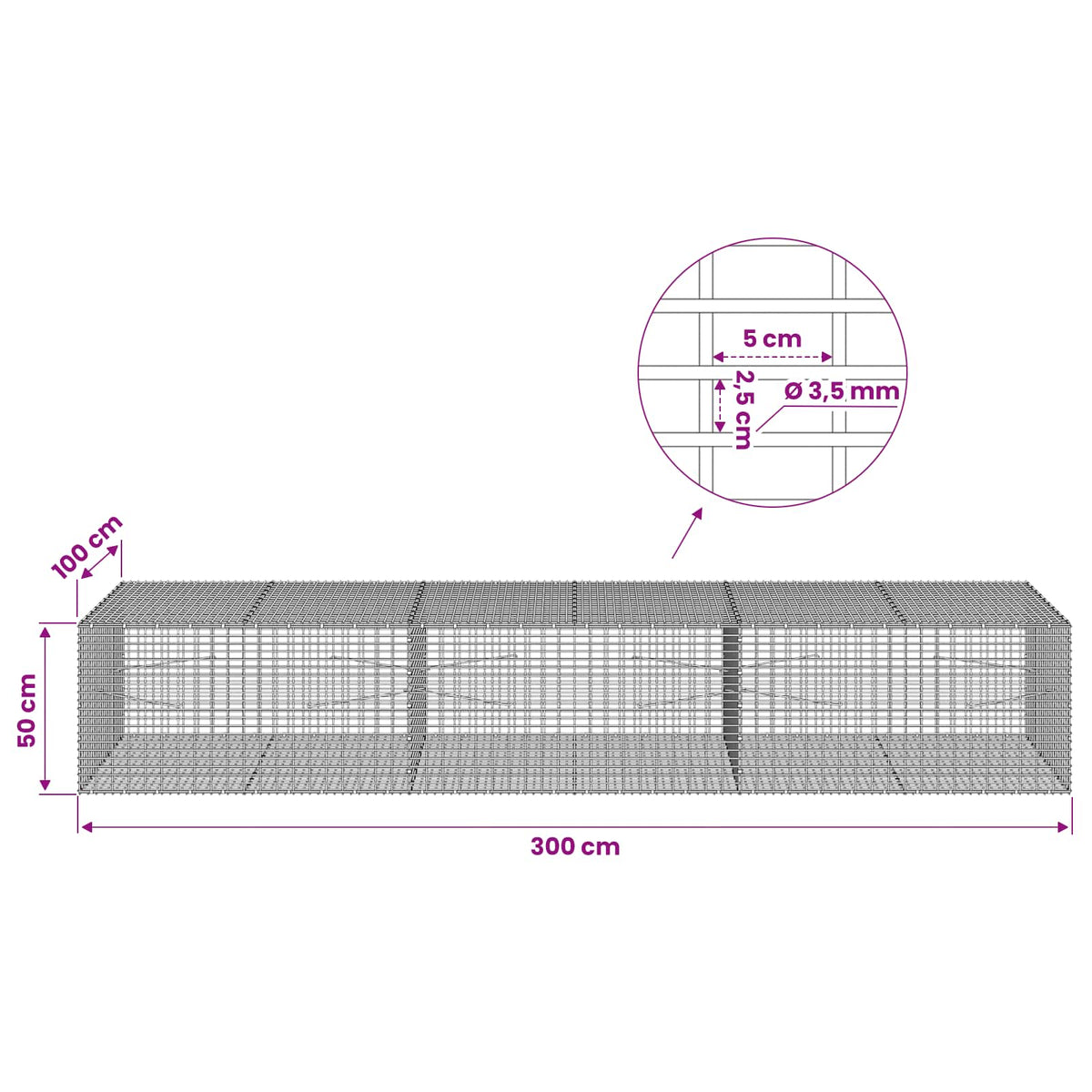 Gabion with 3.5 mm Wire and 5x2.5 cm Mesh 300x100x50 cm