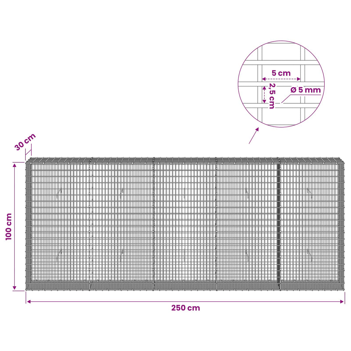 Gabion with 5 mm Wire and 5x2.5 cm Mesh 250x30x100 cm