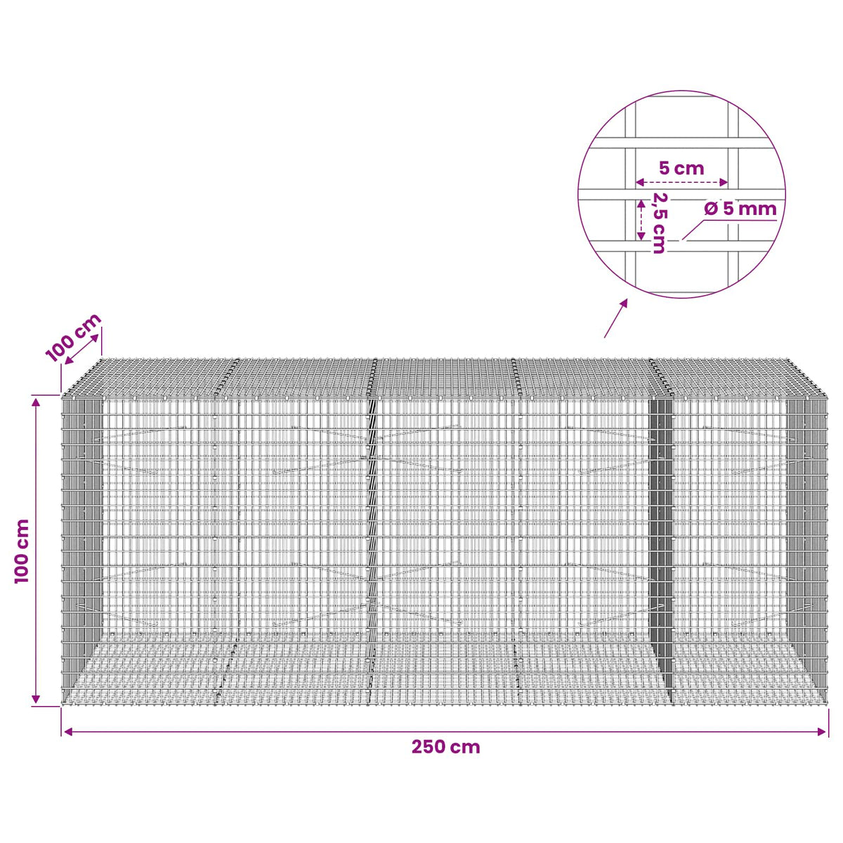 Gabion with 5 mm Wire and 5x2.5 cm Mesh 250x100x100 cm