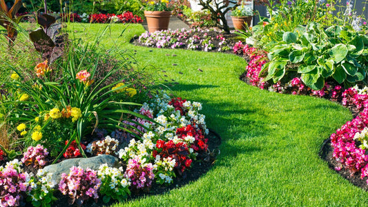Maximise Your Garden on a Budget: Affordable Landscaping Tips from MK Discount
