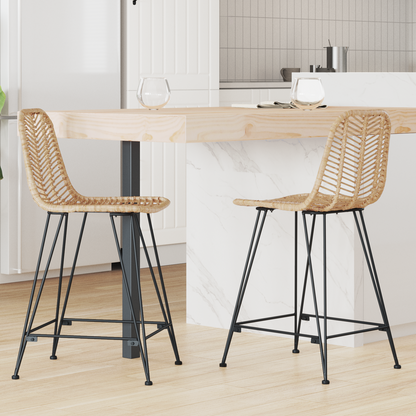 Bar Chair 2 pcs 44.5 x 54.5 x 97.5 cm Rattan and Iron