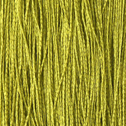 String Curtains 2 pcs 100x250 cm Green