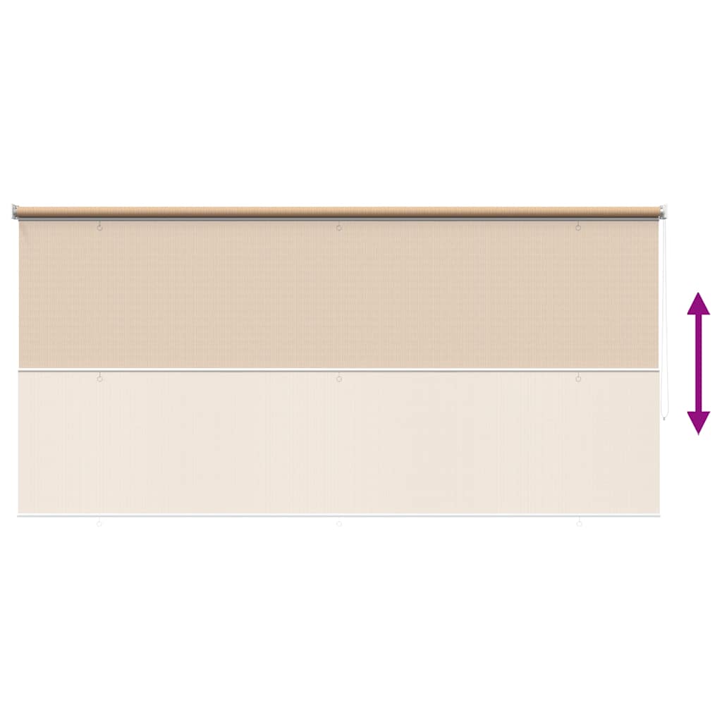 Outdoor Roller Blind 355(W)x140(H) cm Beige