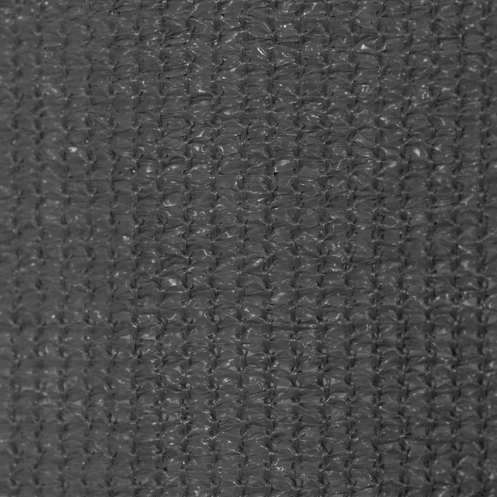 Outdoor Roller Blind 240x140 cm Anthracite