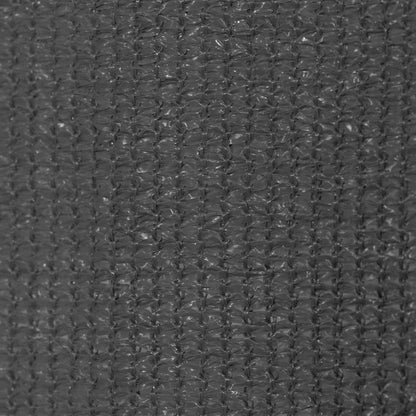 Outdoor Roller Blind 240x140 cm Anthracite