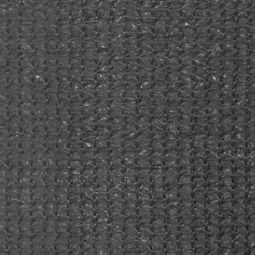 Outdoor Roller Blind 300x140 cm Anthracite