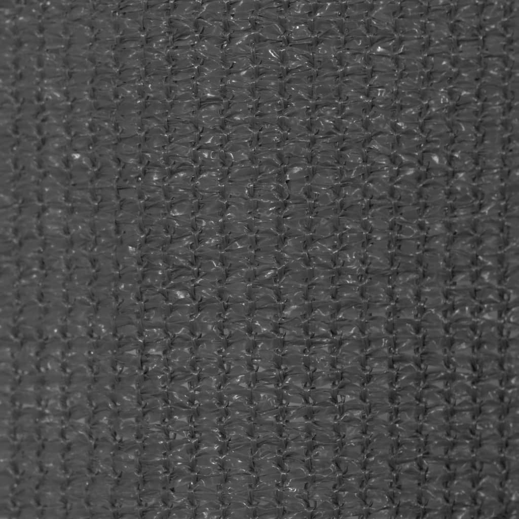 Outdoor Roller Blind 105(W)x230(H) cm Anthracite